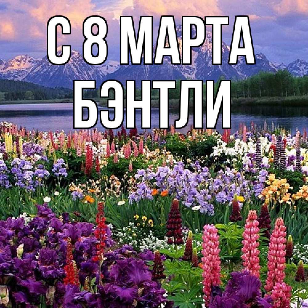 Открытка на каждый день с именем, Бэнтли C 8 МАРТА международный женский день Прикольная открытка с пожеланием онлайн скачать бесплатно 