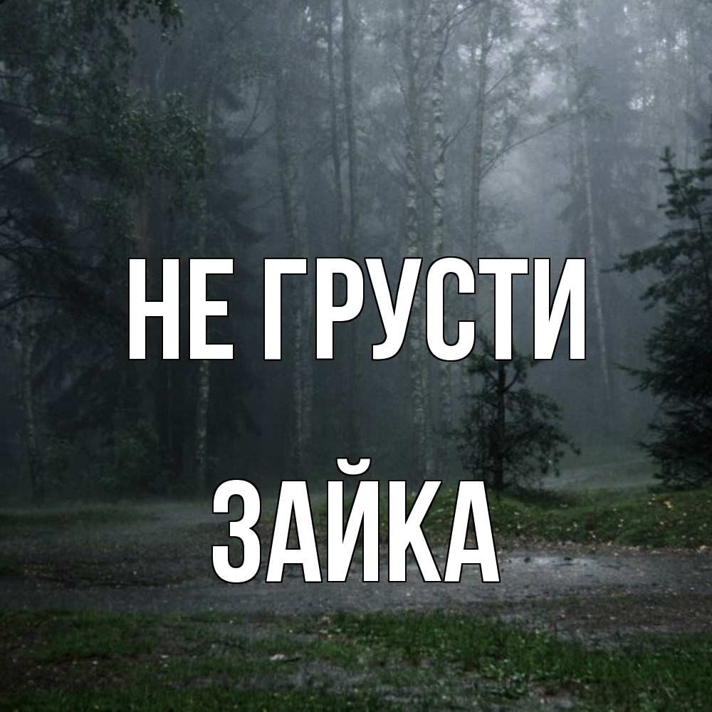 Открытка на каждый день с именем, Зайка Не грусти осень Прикольная открытка с пожеланием онлайн скачать бесплатно 