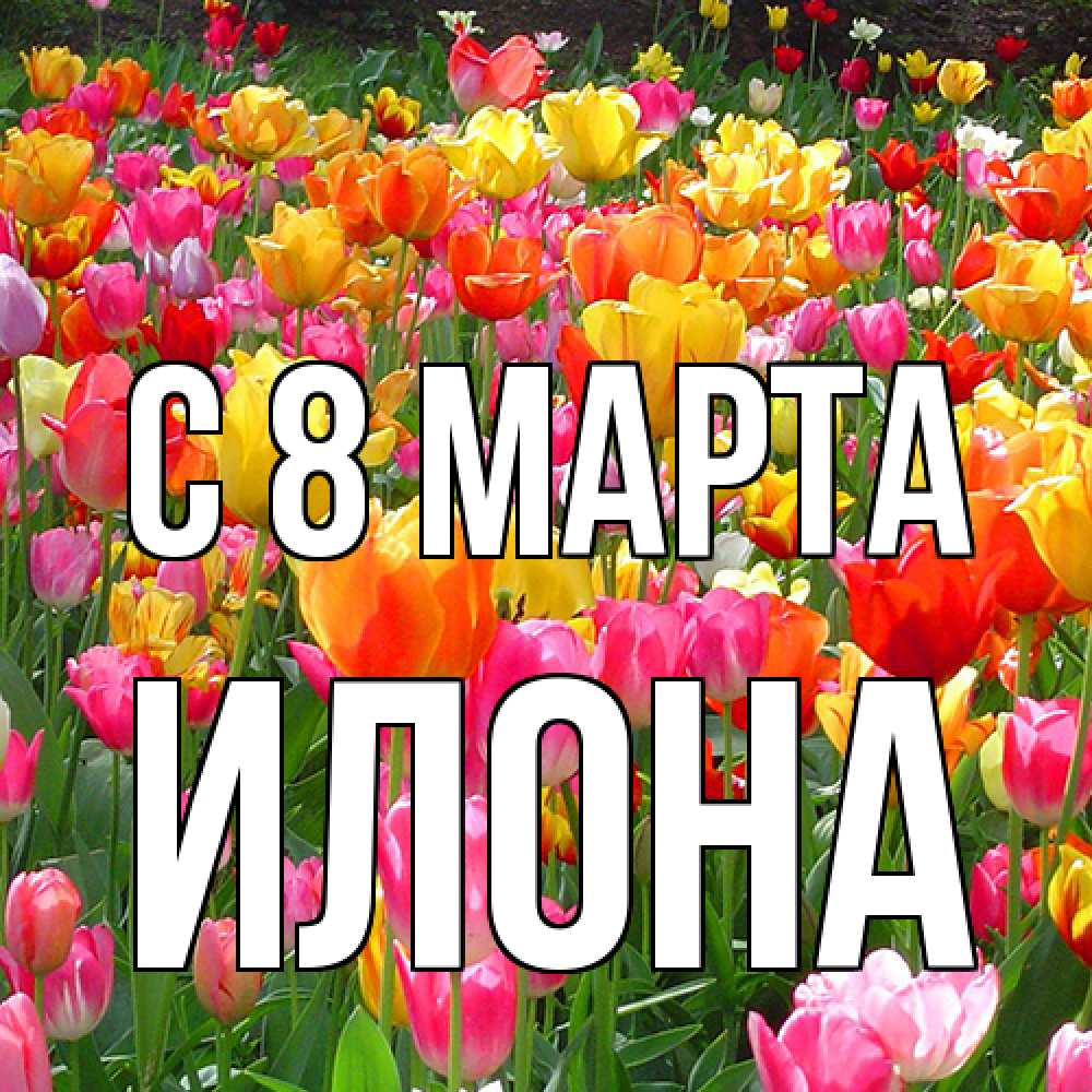 Открытка на каждый день с именем, Илона C 8 МАРТА на международный женский день Прикольная открытка с пожеланием онлайн скачать бесплатно 