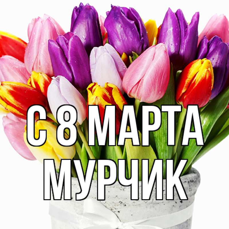 Картинка C 8 МАРТА, Мурчик