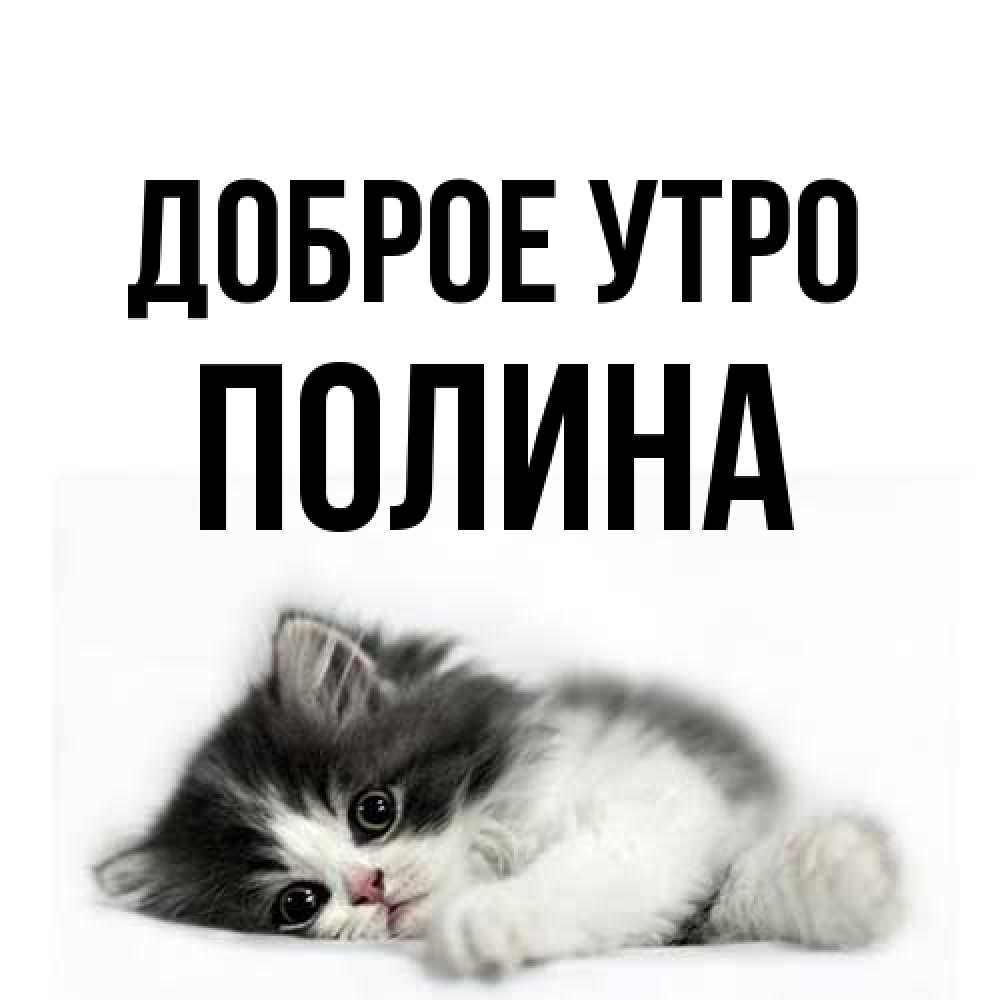 Открытка на каждый день с именем, Полина Доброе утро кот лапки Прикольная открытка с пожеланием онлайн скачать бесплатно 