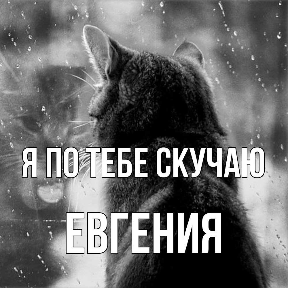 Открытка на каждый день с именем, Евгения Я по тебе скучаю скорее ко мне приходи 1 Прикольная открытка с пожеланием онлайн скачать бесплатно 