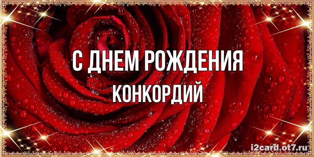 Открытка на каждый день с именем, Конкордий С днем рождения роса на розе блестящая в лучах солнца Прикольная открытка с пожеланием онлайн скачать бесплатно 