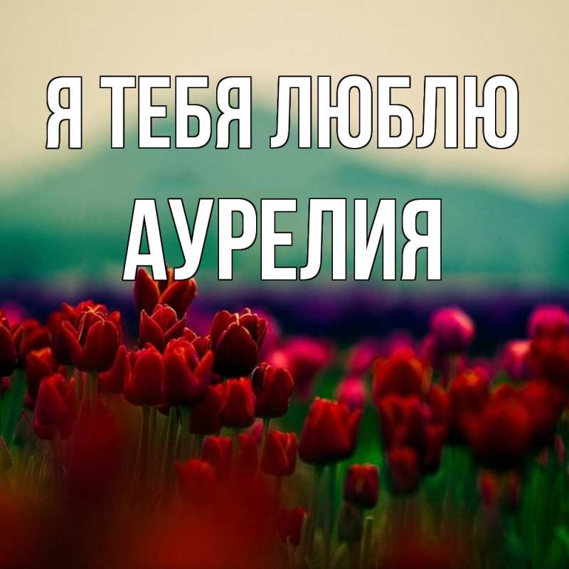 Картинка Я тебя люблю, Аурелия