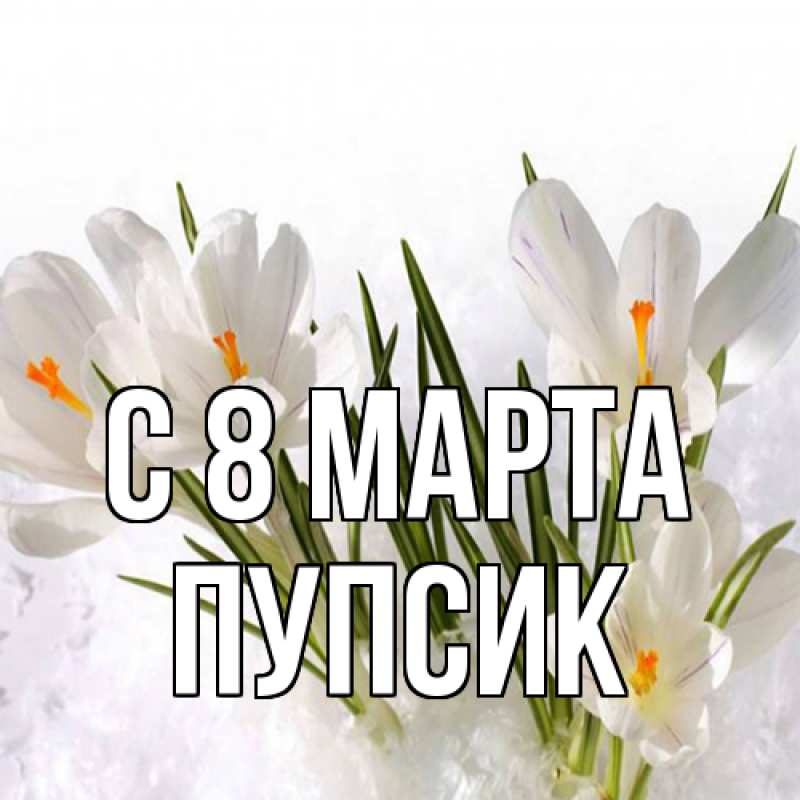 Картинка C 8 МАРТА, пупсик
