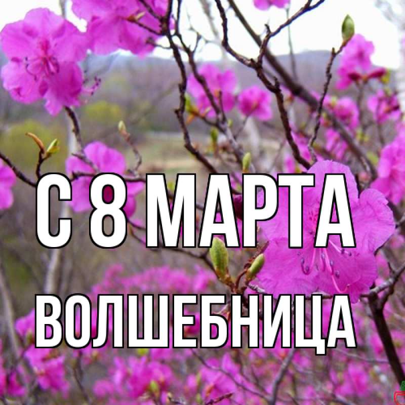 Картинка C 8 МАРТА, волшебница