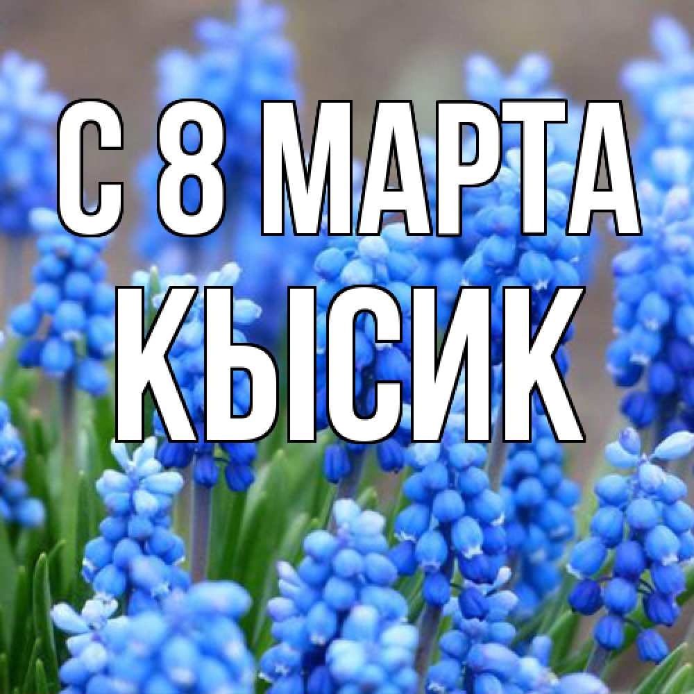 Открытка на каждый день с именем, Кысик C 8 МАРТА Поздравительная открытка для женщин с цветами на праздничную дату Прикольная открытка с пожеланием онлайн скачать бесплатно 