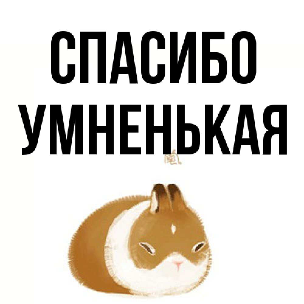 Открытка на каждый день с именем, Умненькая Спасибо коричнево белый домашний питомец Прикольная открытка с пожеланием онлайн скачать бесплатно 