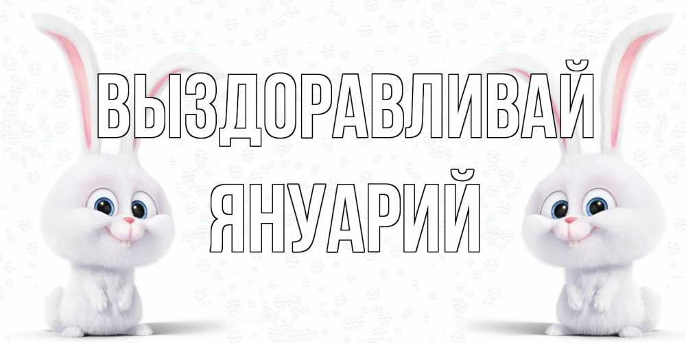 Открытка на каждый день с именем, Януарий Выздоравливай не болей с зайцем Прикольная открытка с пожеланием онлайн скачать бесплатно 