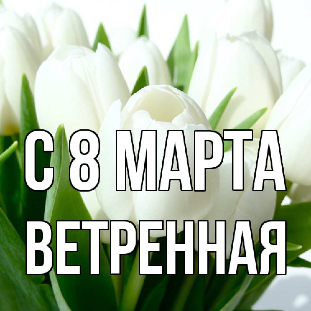 Открытка на каждый день с именем, Ветренная C 8 МАРТА цветы Прикольная открытка с пожеланием онлайн скачать бесплатно 