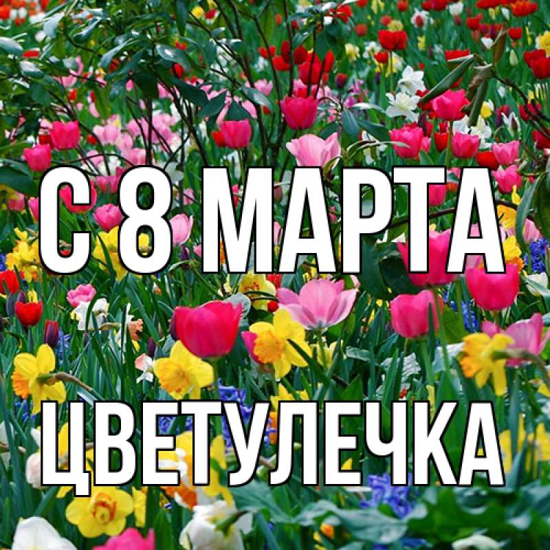 Картинка C 8 МАРТА, Цветулечка