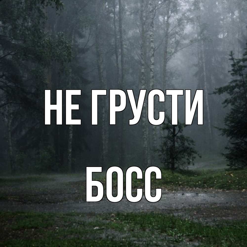 Открытка на каждый день с именем, Босс Не грусти осень Прикольная открытка с пожеланием онлайн скачать бесплатно 