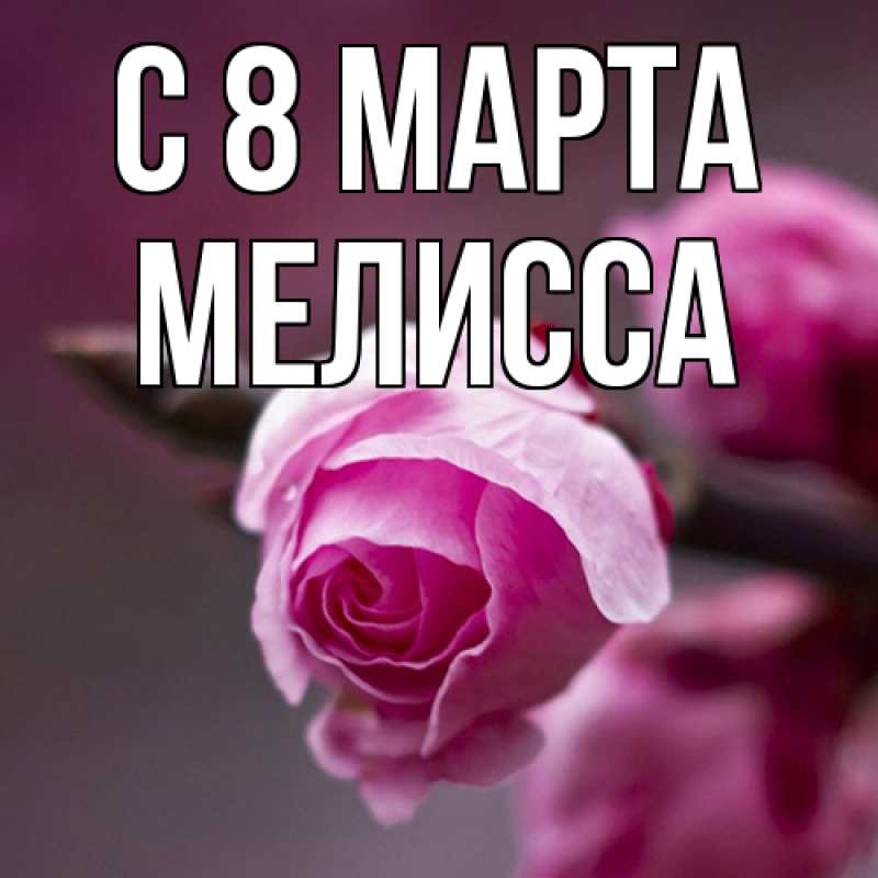 Картинка C 8 МАРТА, Мелисса