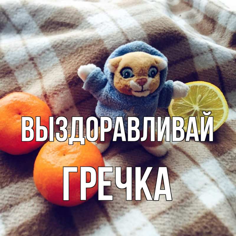 Картинка Выздоравливай, Гречка