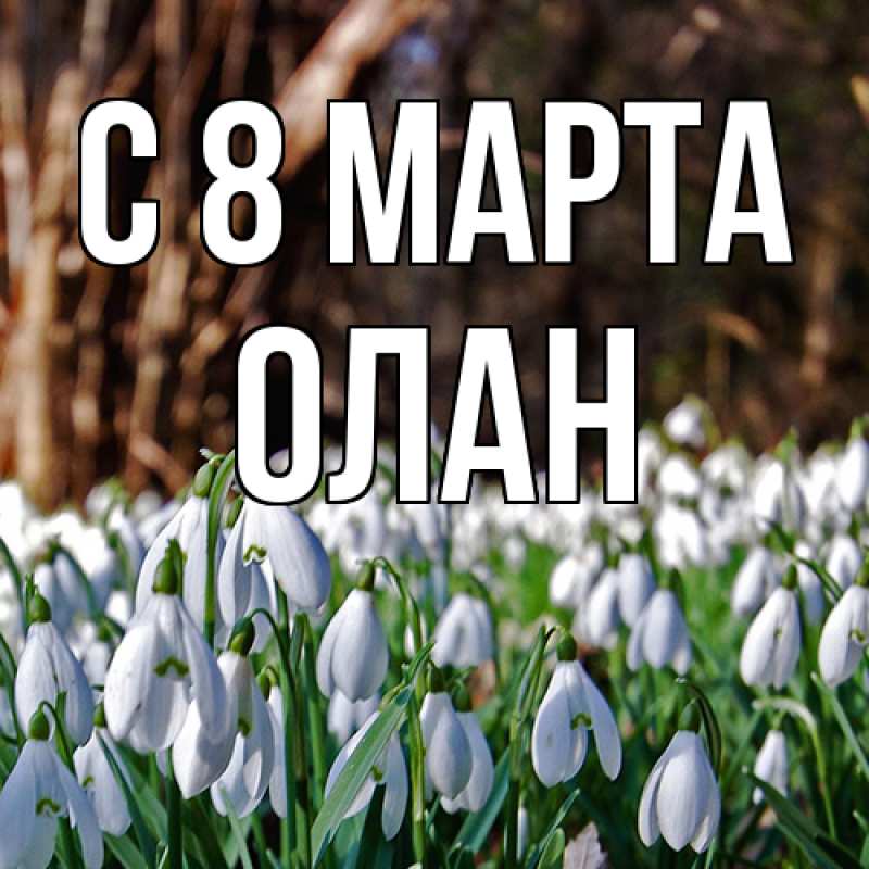 Картинка C 8 МАРТА, Олан