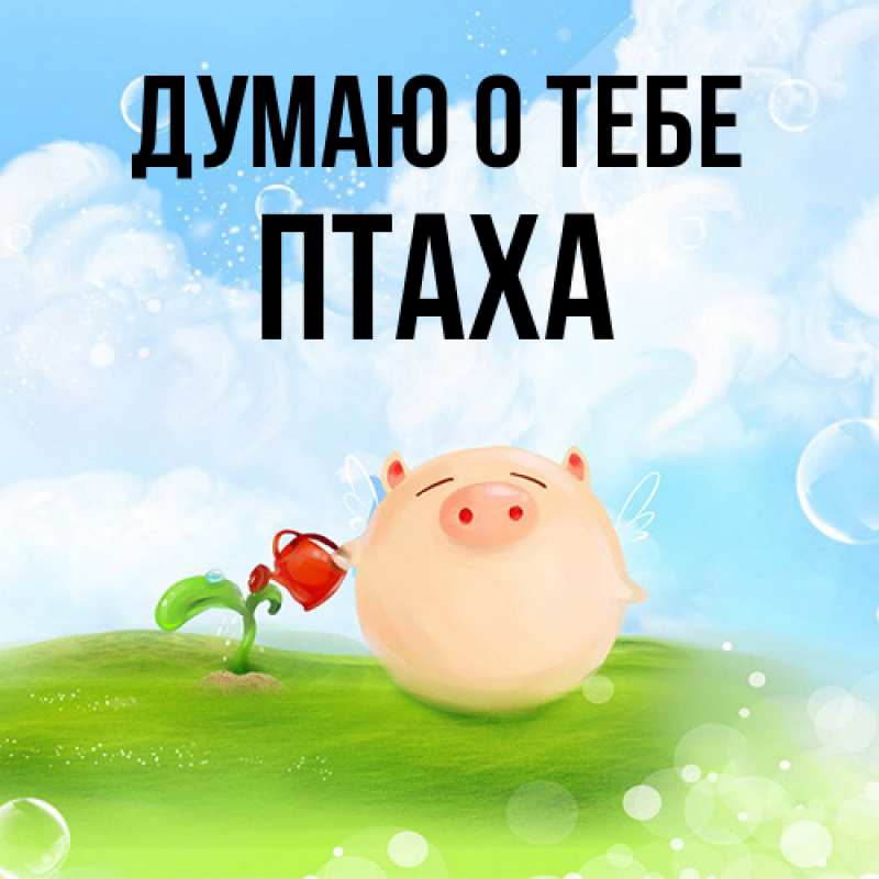 Картинка Думаю о тебе, Птаха