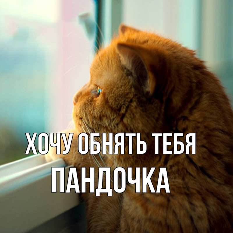 Картинка Хочу обнять тебя, пандочка