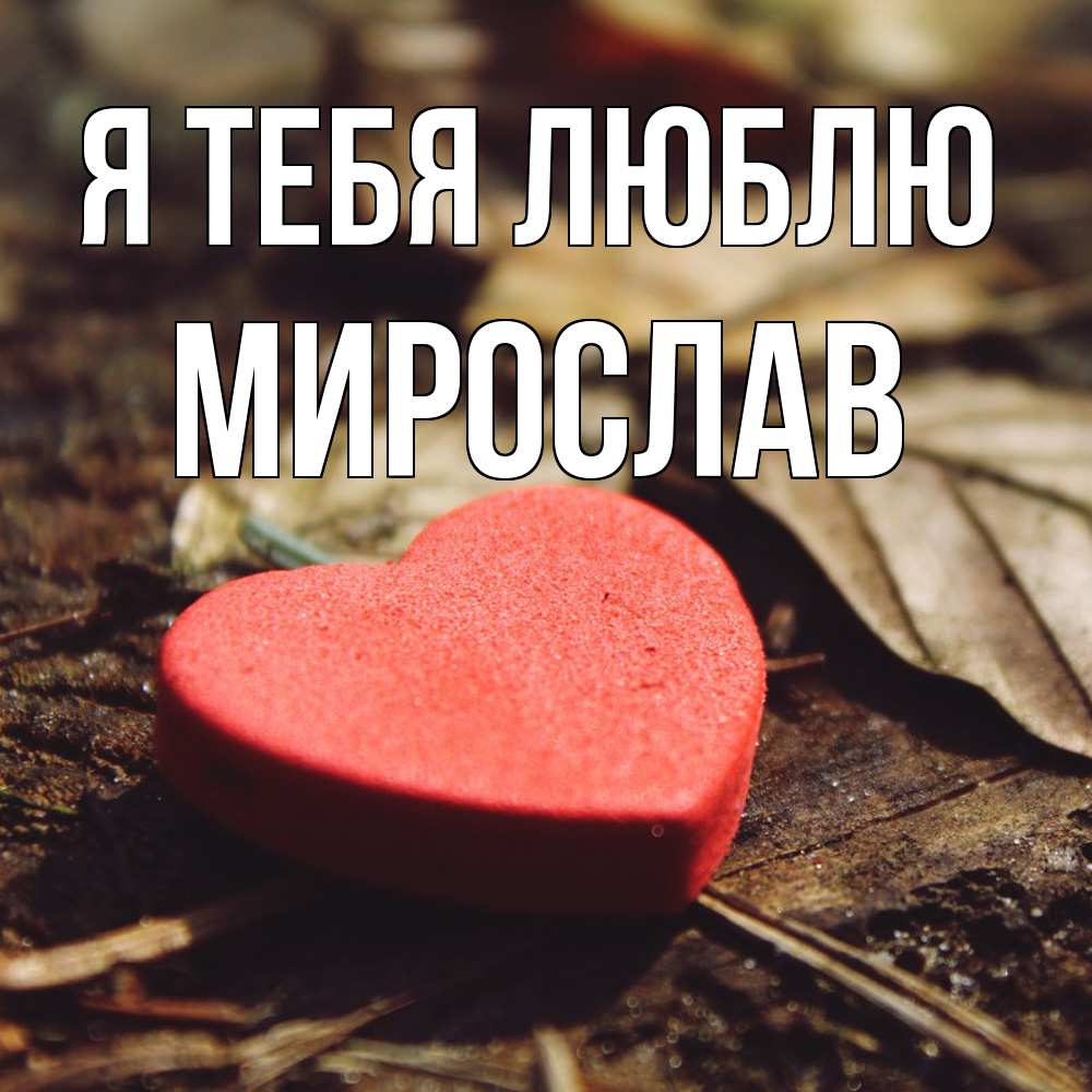 Открытка на каждый день с именем, Мирослав Я тебя люблю листья деревье 4 Прикольная открытка с пожеланием онлайн скачать бесплатно 