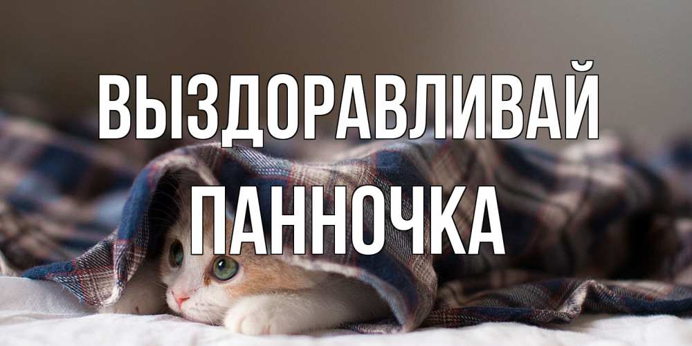 Открытка на каждый день с именем, Панночка Выздоравливай не болейте с котиком Прикольная открытка с пожеланием онлайн скачать бесплатно 