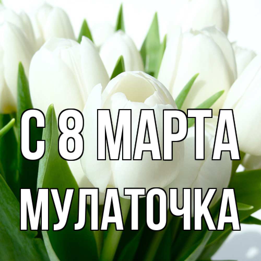 Открытка на каждый день с именем, Мулаточка C 8 МАРТА цветы Прикольная открытка с пожеланием онлайн скачать бесплатно 
