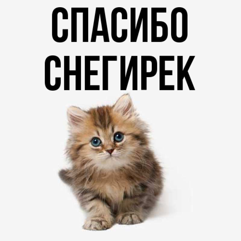 Картинка Спасибо, снегирек