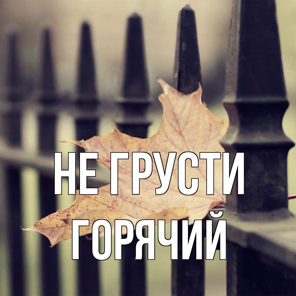 Открытка на каждый день с именем, Горячий Не грусти лист клена Прикольная открытка с пожеланием онлайн скачать бесплатно 