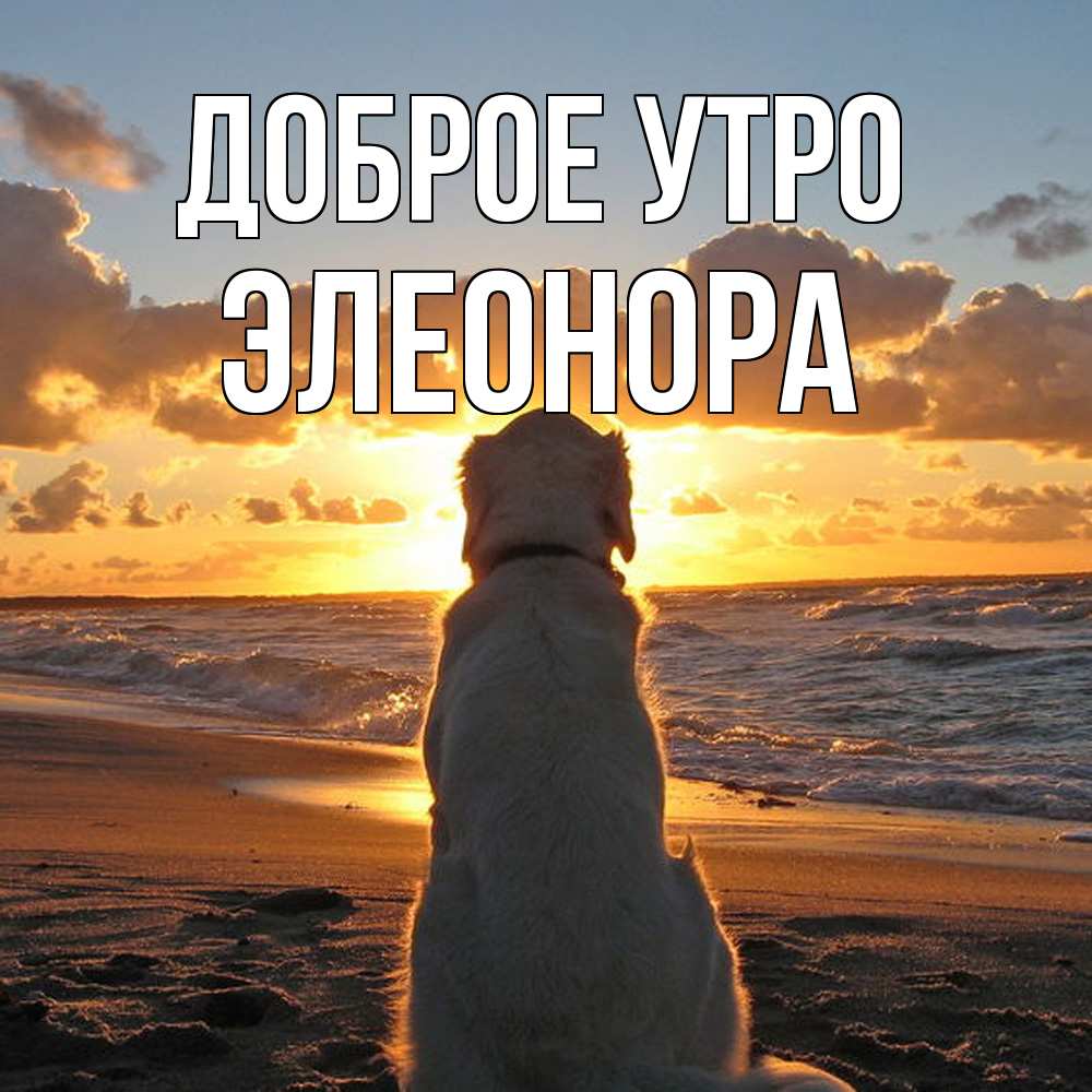Открытка на каждый день с именем, Элеонора Доброе утро восход солнца Прикольная открытка с пожеланием онлайн скачать бесплатно 