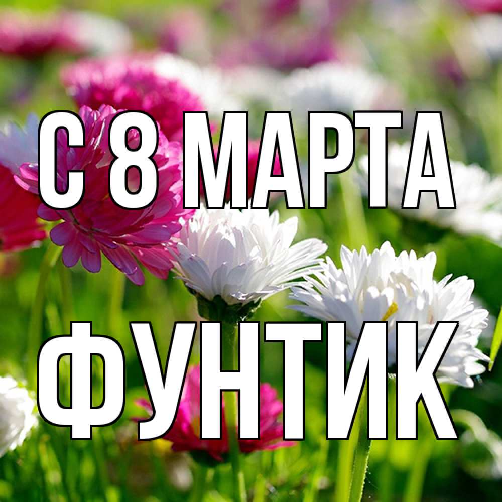 Открытка на каждый день с именем, фунтик C 8 МАРТА международный женский день 1 Прикольная открытка с пожеланием онлайн скачать бесплатно 