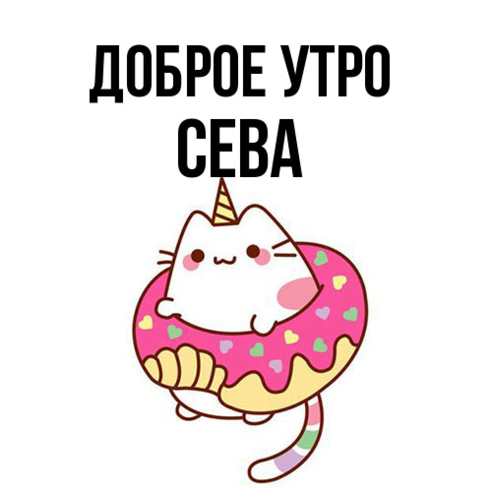 Открытка на каждый день с именем, Сева Доброе утро кот в бублике Прикольная открытка с пожеланием онлайн скачать бесплатно 