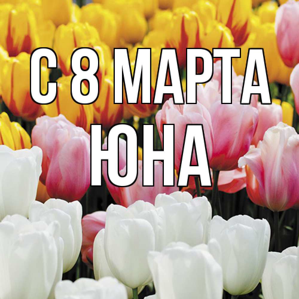 Открытка на каждый день с именем, Юна C 8 МАРТА разноцветные цветы Прикольная открытка с пожеланием онлайн скачать бесплатно 