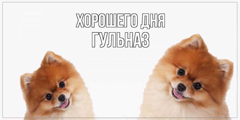 Картинка Хорошего дня, Гульназ