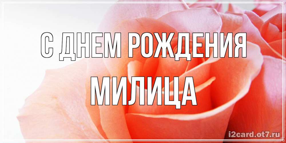 Открытка на каждый день с именем, Милица С днем рождения розы для поздравления с днем рождения Прикольная открытка с пожеланием онлайн скачать бесплатно 