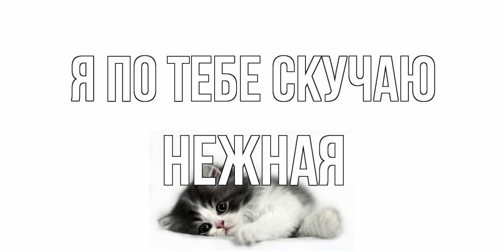 Открытка на каждый день с именем, Нежная Я по тебе скучаю кот, скука Прикольная открытка с пожеланием онлайн скачать бесплатно 