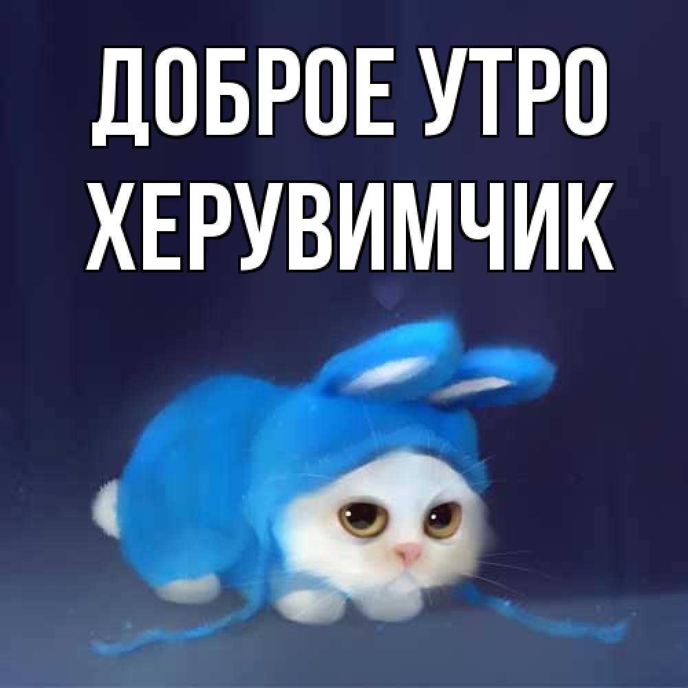 Открытка на каждый день с именем, Хеpувимчик Доброе утро открытки красивые скачать бесплатно Прикольная открытка с пожеланием онлайн скачать бесплатно 