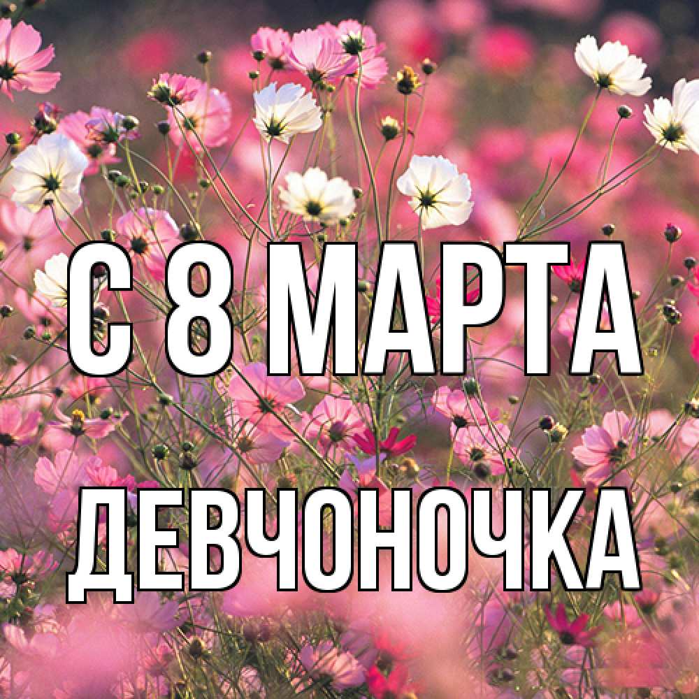 Открытка на каждый день с именем, девчоночка C 8 МАРТА красиво 1 Прикольная открытка с пожеланием онлайн скачать бесплатно 