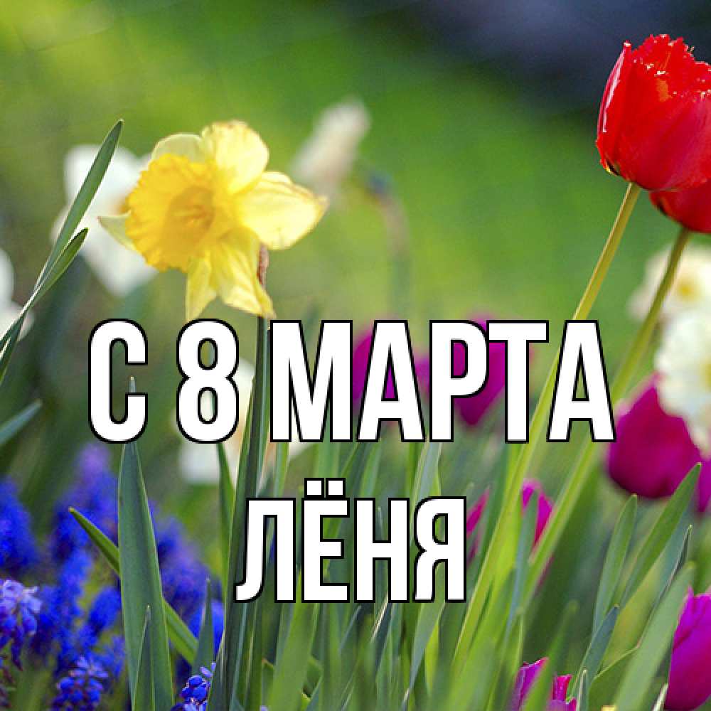 Открытка на каждый день с именем, Лёня C 8 МАРТА международный женский день 3 Прикольная открытка с пожеланием онлайн скачать бесплатно 