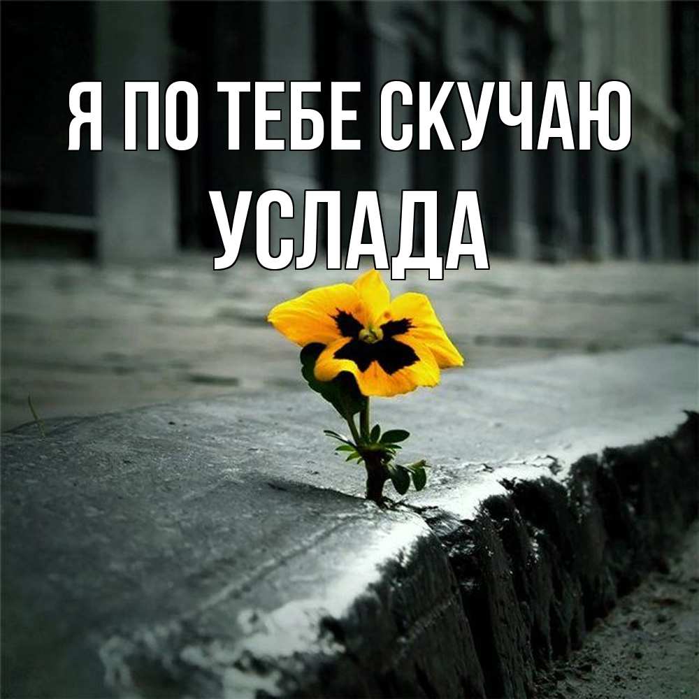 Открытка на каждый день с именем, услада Я по тебе скучаю надеюсь будет лучше Прикольная открытка с пожеланием онлайн скачать бесплатно 