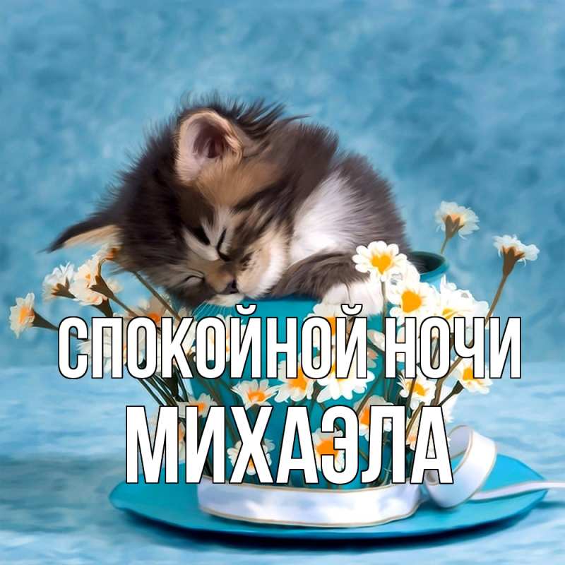 Картинка Спокойной ночи, Михаэла