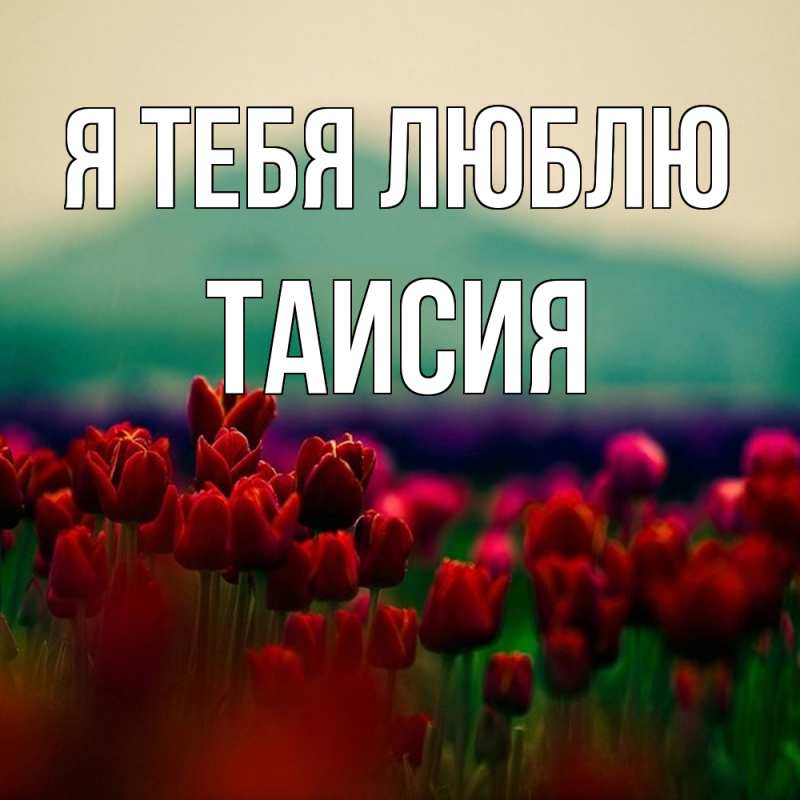 Картинка Я тебя люблю, Таисия