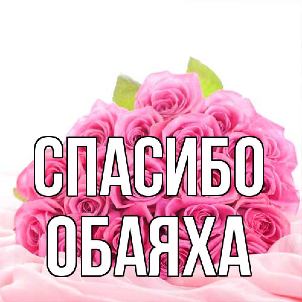 Открытка на каждый день с именем, Обаяха Спасибо розовые розы с подписью Прикольная открытка с пожеланием онлайн скачать бесплатно 