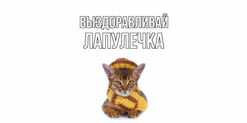 Картинка Выздоравливай, Лапулечка