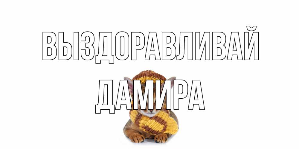 Открытка на каждый день с именем, Дамира Выздоравливай родные не болейте Прикольная открытка с пожеланием онлайн скачать бесплатно 