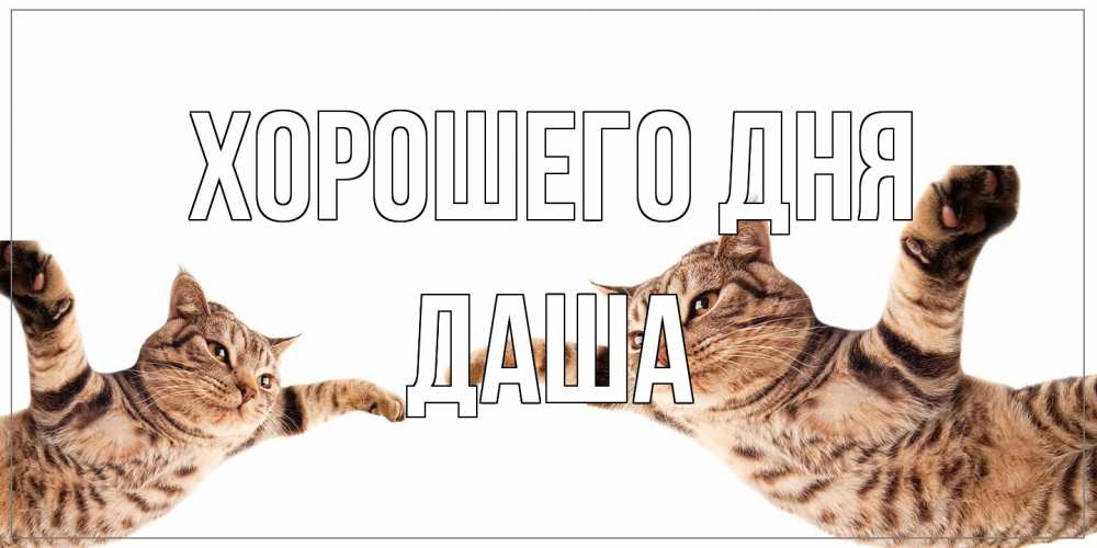 Открытка на каждый день с именем, Даша Хорошего дня хорошего дня Прикольная открытка с пожеланием онлайн скачать бесплатно 