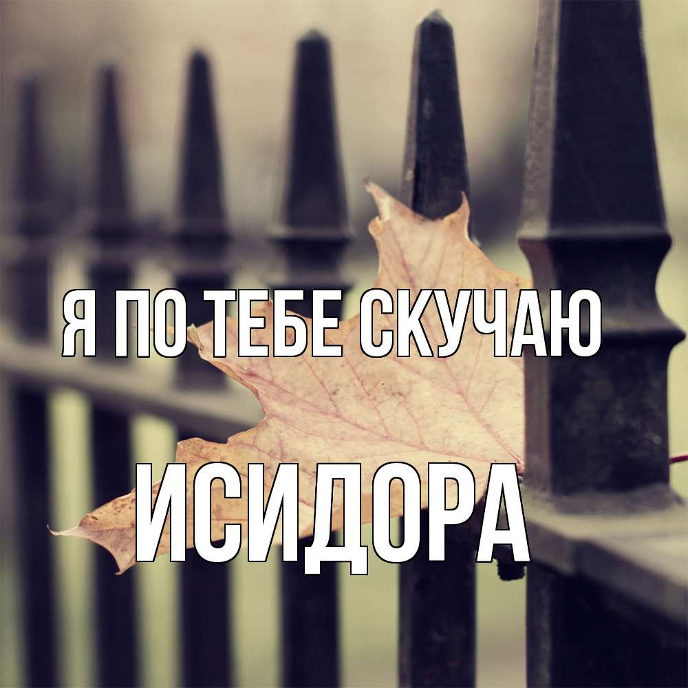 Открытка на каждый день с именем, Исидора Я по тебе скучаю очень скучно Прикольная открытка с пожеланием онлайн скачать бесплатно 