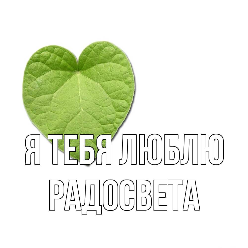 Открытка на каждый день с именем, Радосвета Я тебя люблю тебе Прикольная открытка с пожеланием онлайн скачать бесплатно 
