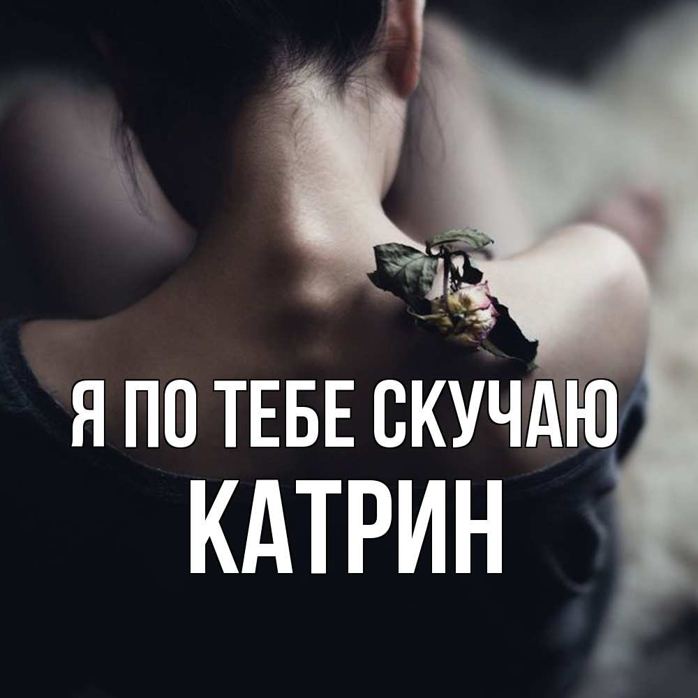 Открытка на каждый день с именем, Катрин Я по тебе скучаю засох цветок Прикольная открытка с пожеланием онлайн скачать бесплатно 