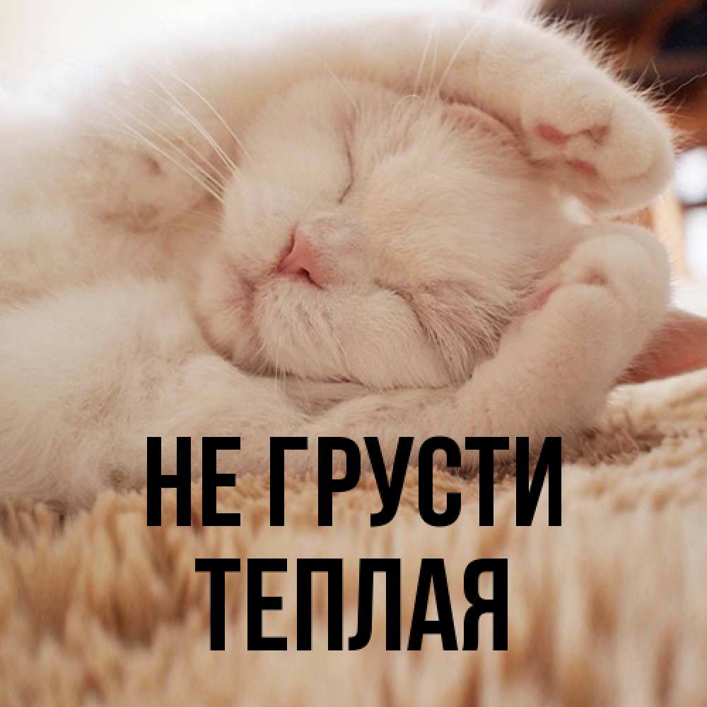 Открытка на каждый день с именем, теплая Не грусти Котенок спит Прикольная открытка с пожеланием онлайн скачать бесплатно 