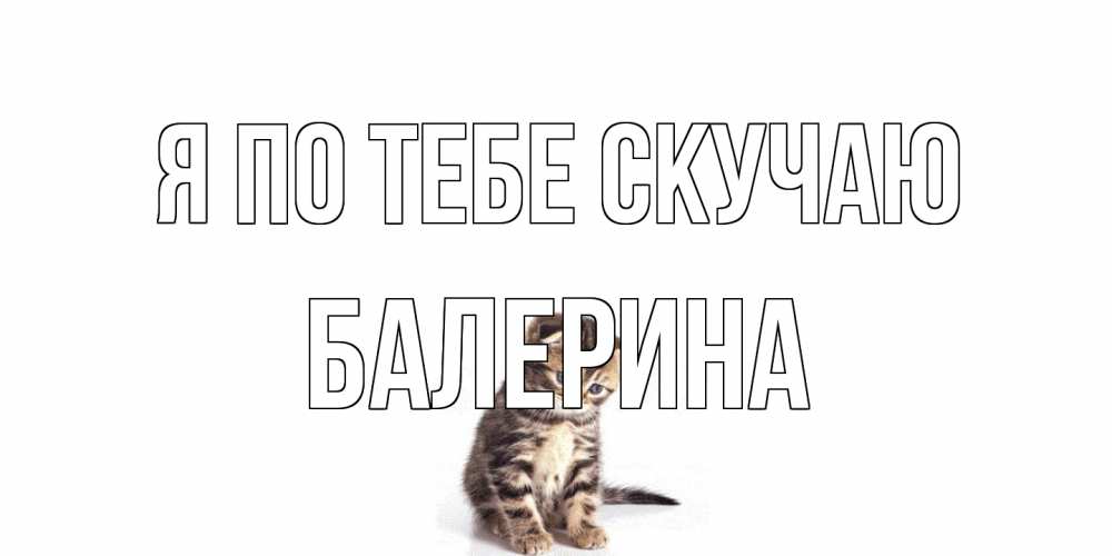 Открытка на каждый день с именем, Балерина Я по тебе скучаю кот Прикольная открытка с пожеланием онлайн скачать бесплатно 