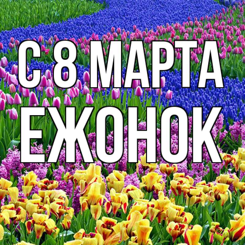 Картинка C 8 МАРТА, Ежонок