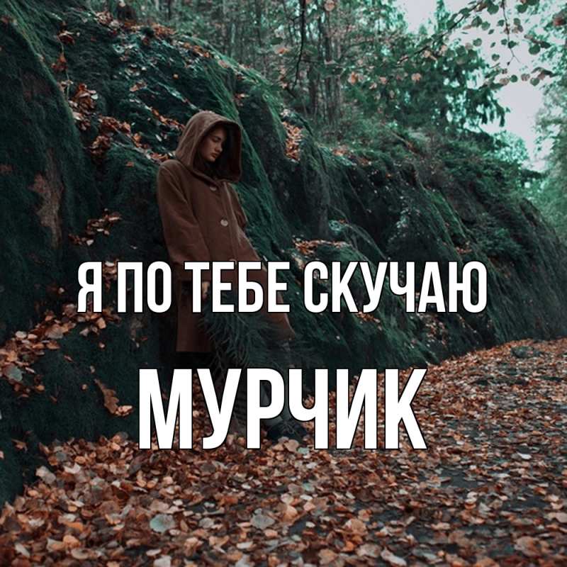 Картинка Я по тебе скучаю, Мурчик